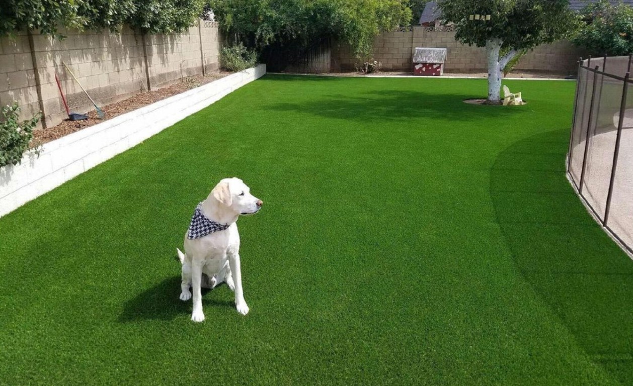 Dog enjoying pet-safe artificial grass with drainage system in Pittsburg, CA